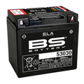 BS Battery Factory charged - BS-53030 SLA