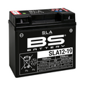 BS Battery BS-SLA12-19 SLA
