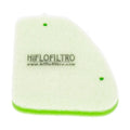 Hiflofiltro Air Filter - HFA5301DS