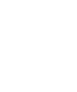 Apple iPhone