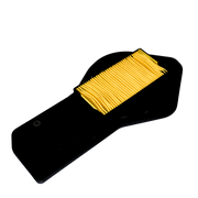 Air Filter - FLT202