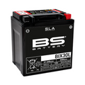 BS Battery Factory charged - BS-BIX30L SLA