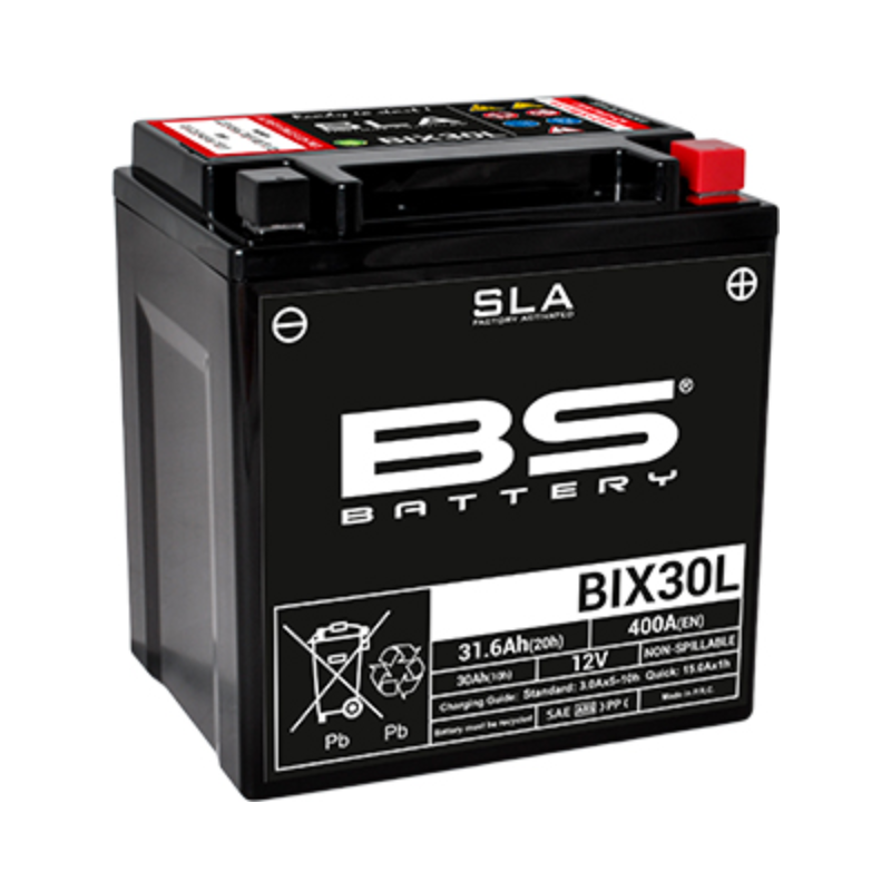 BS Battery Factory charged - BS-BIX30L SLA