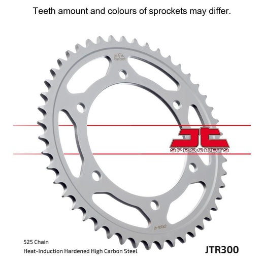 JT Sprocket Rear Sprocket - JTR300.39