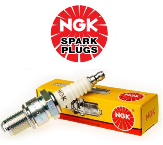NGK SINGLE SPARK PLUG - B5HS  - NGK4210