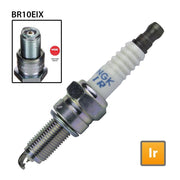 NGK single spark plug BR10EIX with iridium tip, standard size, showing the metal and ceramic components in the image.