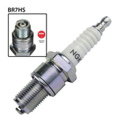 NGK BR7HS single spark plug with white ceramic insulator and metal threaded shell, designed for automotive use.