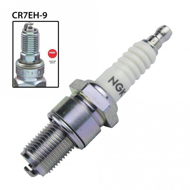 NGK single spark plug model CR8E, showing the metal terminal and ceramic insulator, used for automotive engine ignition.